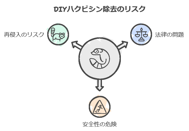 屋根裏ハクビシン駆除をDIY自分で除去のリスク