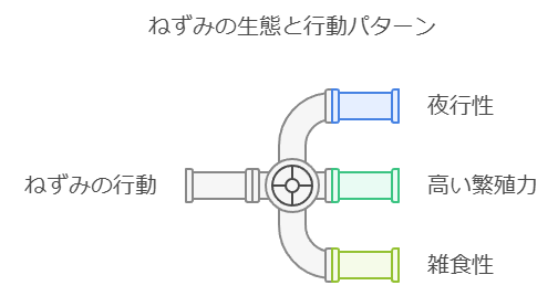 害獣駆除によるねずみの行動パターン