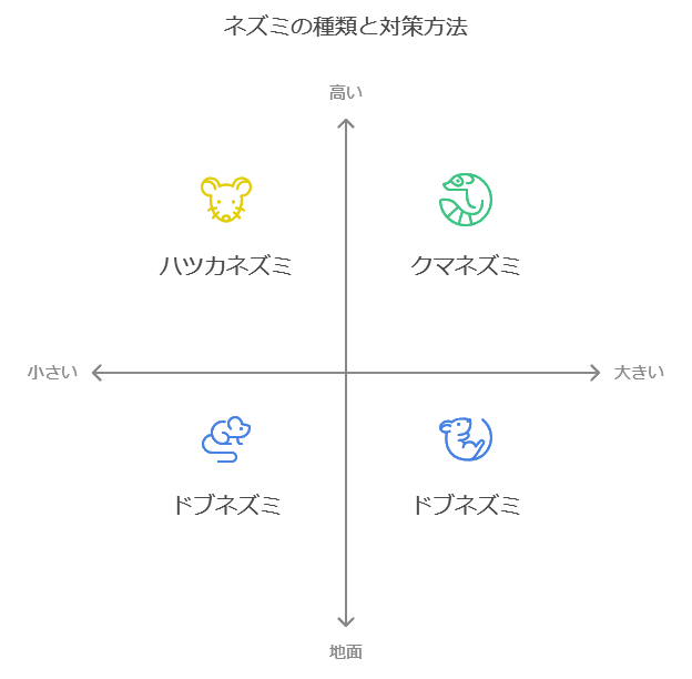 ネズミの種類と対策方法