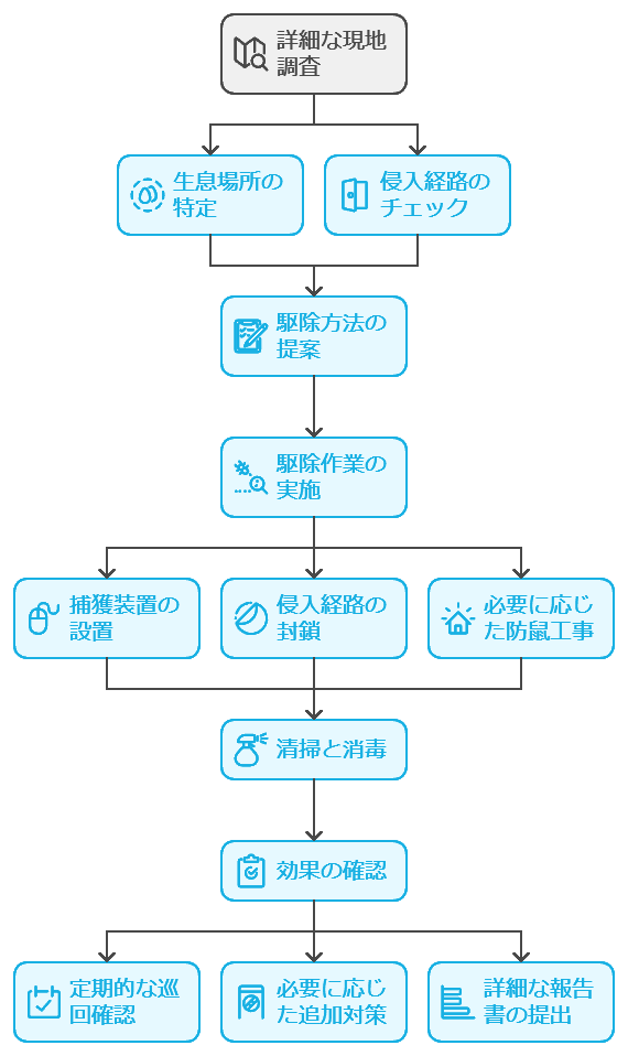 ダスキンネズミ駆除プロセス